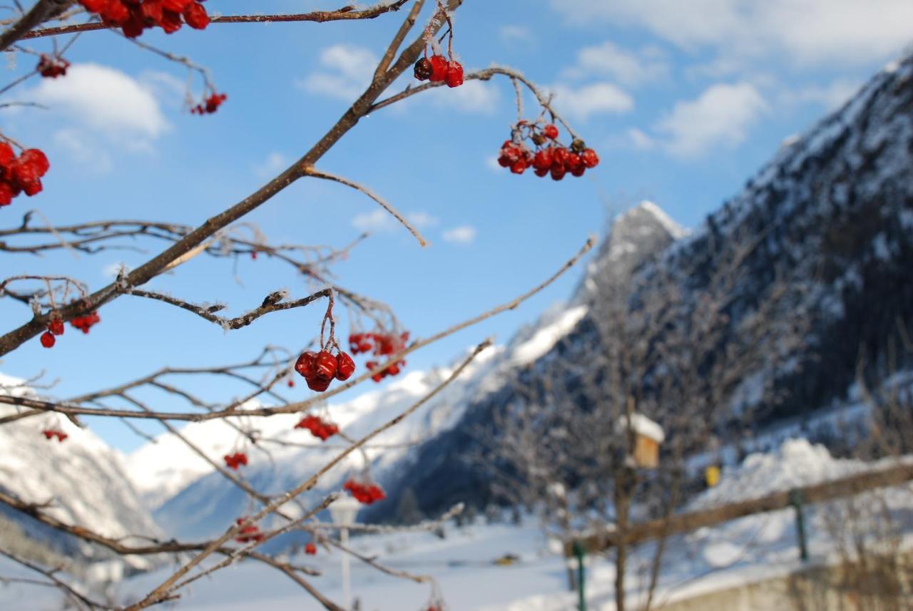 Steinkogel * Sankt Leonhard im Pitztal